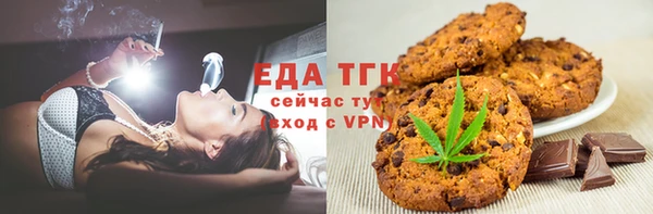 соль ск Ельня