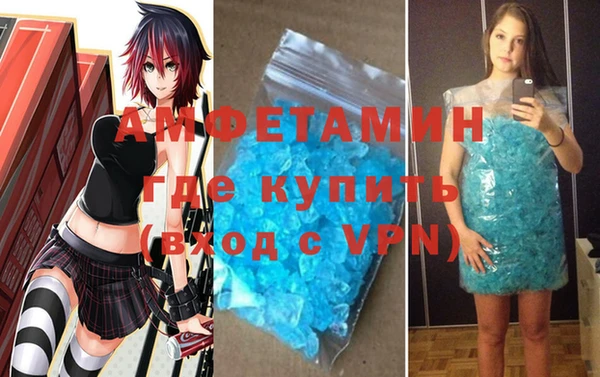 соль ск Ельня