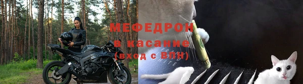 соль ск Ельня