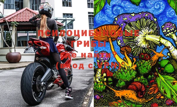 круглые Елизово