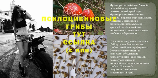 круглые Елизово