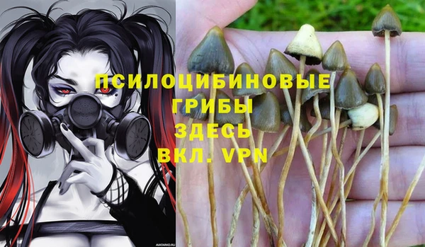 соль ск Ельня