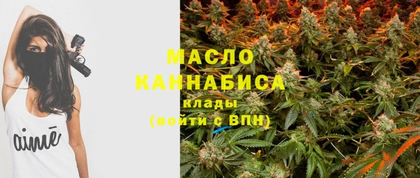 мет Елабуга