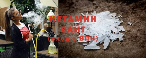 соль ск Ельня