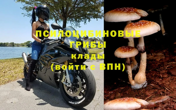 соль ск Ельня