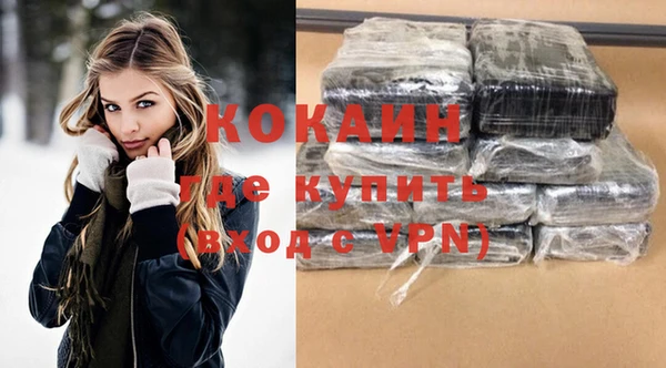 соль ск Ельня