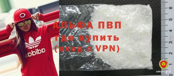 соль ск Ельня